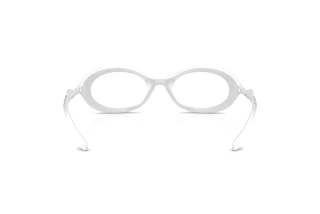 Rückansicht Diesel DL6005U (2031)