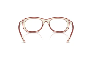 Rückansicht Diesel DL6006U (2010)