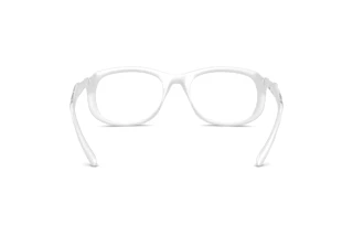 Rückansicht Diesel DL6006U (2029)