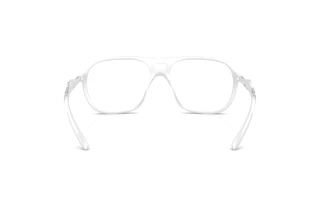 Rückansicht Diesel DL6008U (2029)