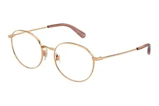Dolce & Gabbana DG1322 1298