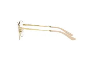 Seitenansicht Dolce & Gabbana DG1340 (02)