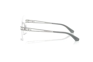Seitenansicht Dolce & Gabbana DG1369 (05)