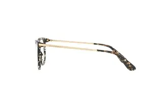Seitenansicht Dolce & Gabbana DG3258 (911)