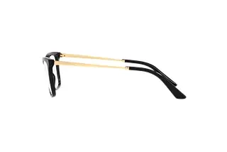 Seitenansicht Dolce & Gabbana DG3347 (501)
