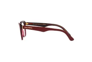 Seitenansicht Dolce & Gabbana DG3360 (3247)