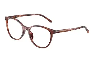 Dolce & Gabbana DG3425 3444 Havana Brown