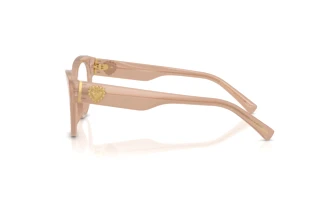 Seitenansicht Dolce & Gabbana DG3440 (3042)