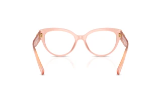 Rückansicht Dolce & Gabbana DG3440 (3384)