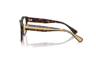 Seitenansicht Dolce & Gabbana DG3449 (502)