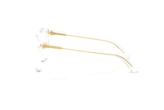 Seitenansicht Dolce & Gabbana DG3451 (3133)