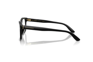 Seitenansicht Dolce & Gabbana DG3453 (501)