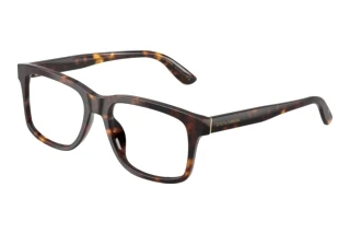 Vorderansicht Dolce & Gabbana DG3453 (502)