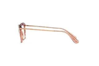 Seitenansicht Dolce & Gabbana DG5025 (3148)