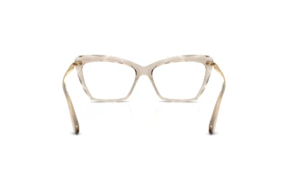 Rückansicht Dolce & Gabbana DG5025 (3432)