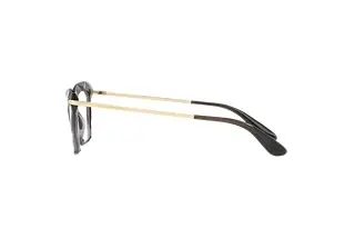 Seitenansicht Dolce & Gabbana DG5025 (504)