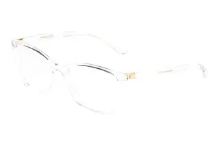 Dolce & Gabbana DG5026 3133 Crystal