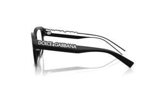 Seitenansicht Dolce & Gabbana DG5113 (501)