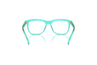 Rückansicht Dolce & Gabbana DX3356 (3322)
