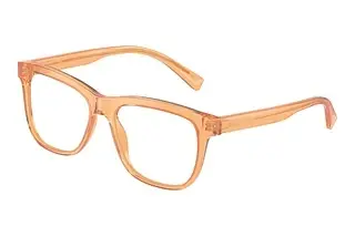 Dolce & Gabbana DX3356 3442 Transparent Orange