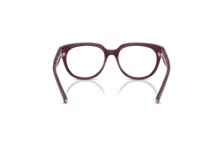 Rückansicht Dolce & Gabbana DX5007 (3360)