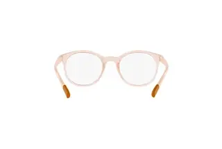 Rückansicht Dolce & Gabbana DX5095 (3041)
