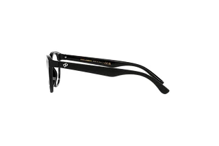 Seitenansicht Dolce & Gabbana DX5096 (501)