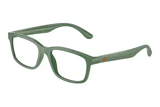 Dolce & Gabbana DX5097 3329
