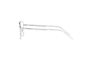 Seitenansicht Emporio Armani EA1133 (3015)