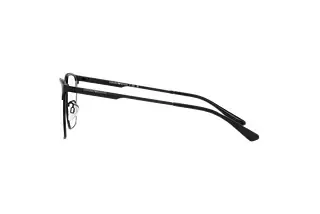 Seitenansicht Emporio Armani EA1146D (3014)