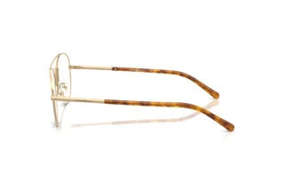 Seitenansicht Emporio Armani EA1178 (3002)