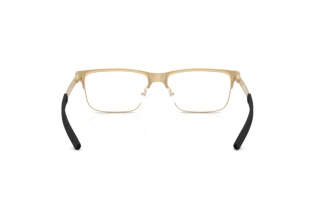 Rückansicht Ferrari Scuderia FZ7018 (139)