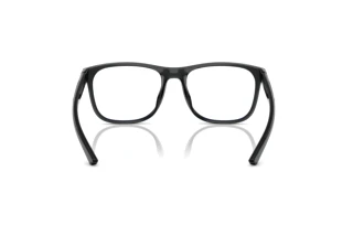 Rückansicht Ferrari Scuderia FZ8014D (521)