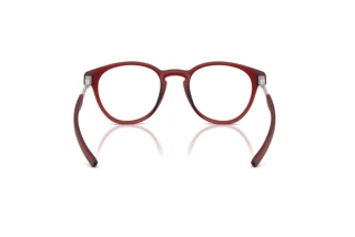 Rückansicht Ferrari Scuderia FZ8019U (508)