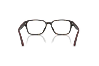 Rückansicht Ferrari Scuderia FZ8029D (763)