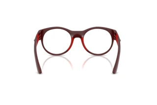 Rückansicht Ferrari Scuderia FZ8031U (530)