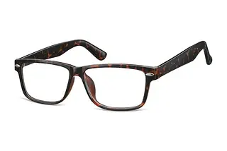 Fraymz CP166 H Turtle