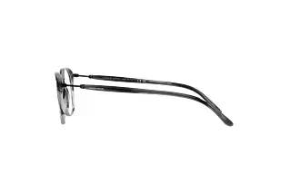 Seitenansicht Giorgio Armani AR7213 (5877)