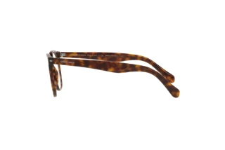Seitenansicht Giorgio Armani AR7214 (5879)