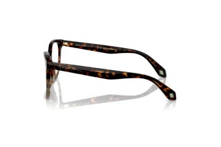 Seitenansicht Giorgio Armani AR7246U (5879)
