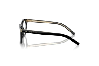 Seitenansicht Giorgio Armani AR7251 (5875)