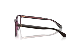 Seitenansicht Giorgio Armani AR7255 (6088)