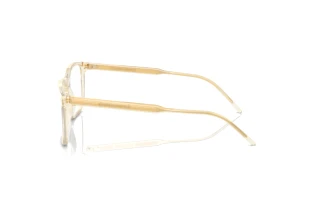 Seitenansicht Giorgio Armani AR7258 (6077)