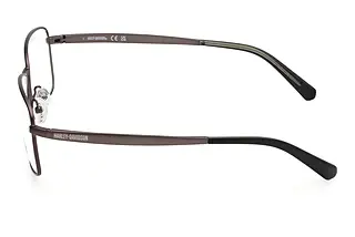 Seitenansicht Harley-Davidson HD50100 (009)