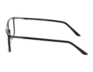Seitenansicht Jaguar 31029 (8840)