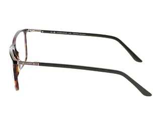 Seitenansicht Jaguar 31029 (8940)