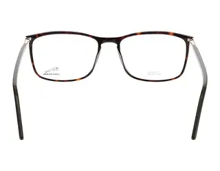 Rückansicht Jaguar 31029 (8940)