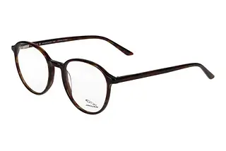 Vorderansicht Jaguar 31523 (8940)