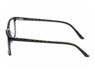 Seitenansicht Jaguar 31526 (5313)