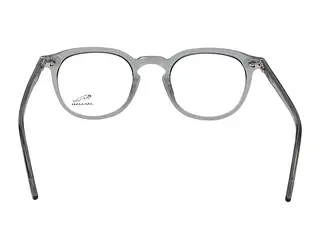 Rückansicht Jaguar 31710 (4823)